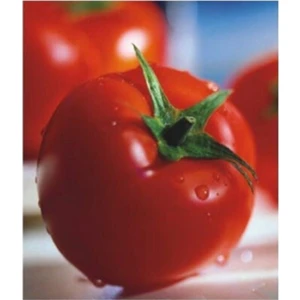 Agrobazaar Sofralık 2274 Domates Tohumu 25 Tohum