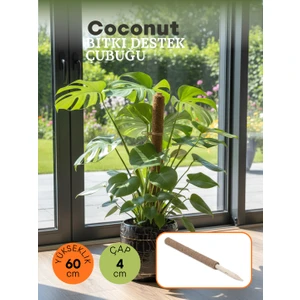 Coconut Bitki Çubuğu- 60CM