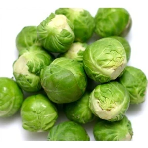 Agrobazaar Brüksel Lahanası 10+ Tohum