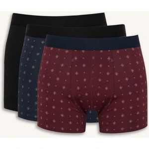 Regular Fit Puantiye 3'lü Boxer F9032AX25AU