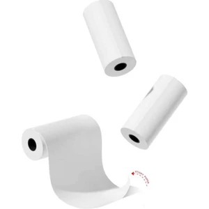 Zoo Family 3lü Yapışkan Kağıt  Rulo Seti