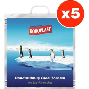 Dondurulmuş Gıda Torbası x 5 Adet (50*52 Cm)