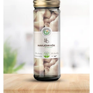 Havlıcan Kök ''30GR''