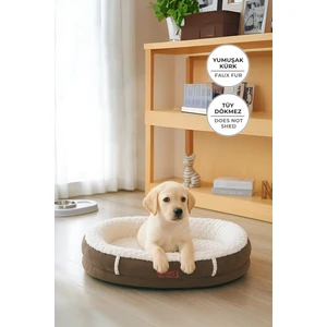 Evlen Home Collection Kürk Peluş Kedi Köpek Evcil Hayvan Yatağı PatiChill Yıkanabilir Kaymaz Taban Simba Lüks Ortopedik Su Geçirmez Krem