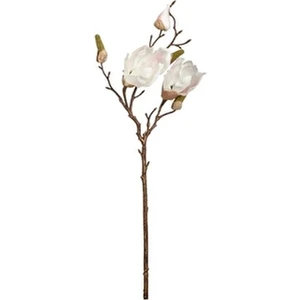 Manolya Çiçeği Beyaz 51CM