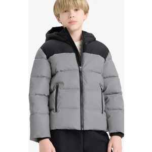 Erkek Çocuk Su Geçirmez Kapüşonlu Polar Astarlı Mont E9348A825WN