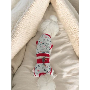 Dişi Köpek Regl Külodu ve Tshirt Takımı – Ayarlanabilir, Yıkanabilir, Hijyenik Köpek Külodu