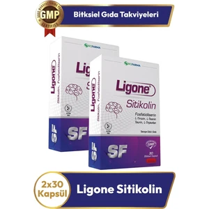 Sitikolin 30 Kapsül 2 Adet