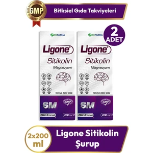 Ligone Sitikolin Şurup 200 ml 2 Adet