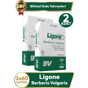 Berberis Vulgaris 60 Kapsül 2 Adet
