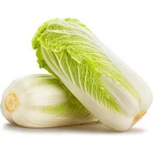 100 Adet Çin Lahanası Tohumu