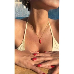 Çelik Zincir ile Kırmızı Biber Şans Kolyesi