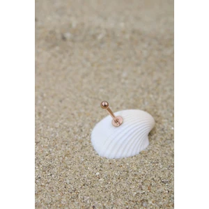 Piercing Cerrahi Çelik Piercing Kıkırdak Tragus Conch Helix Rose Renk Top Çap 2,50 mm Labret