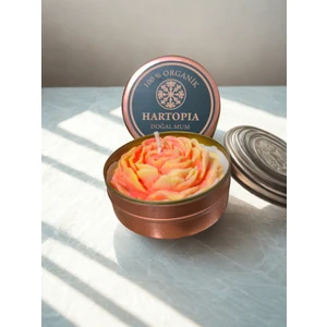 Hartopia-Doğal Mum Şakayık Çiçeği Teneke Kutu