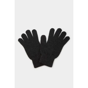 Erkek Triko Eldiven L9301AZ25WN