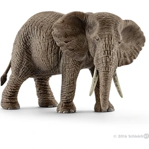 Schleich Afrika Fili Dişi