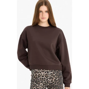 Regular Fit Bisiklet Yaka Kalın Basic Düz Sweatshirt D6645AX25WN