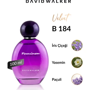 David Walker B184 Tragedi 100 ml  Kadın Parfüm | Velvet