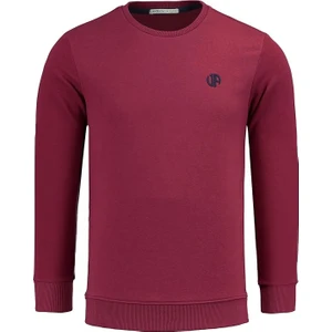 Anthony Jackson Erkek Basic Logo Sweatshirt Nova			