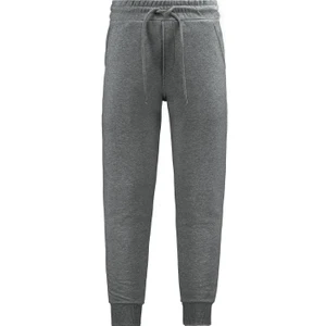 Anthony Jackson Erkek Rahat Slim Fit Jogger Eşofman Altı Lunor			