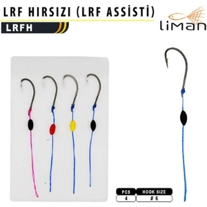 Lrf Hırsız Takım