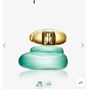 Elvie Edt