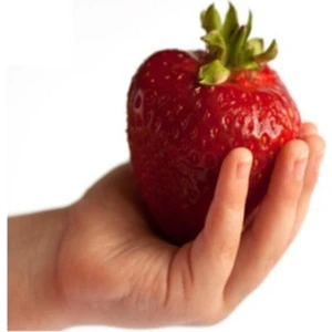 Ithal Nadir Dev Çilek Tohumu 20 Adet Tohum Giant Çilek