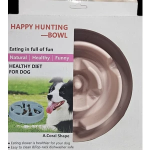 Hergereç Yavaş Yeme Mama Kabı