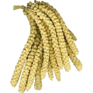 Sarı Dal Darı 500G