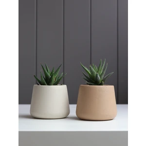 Bohem 2'li Seramik Saksı Seti Bej&mocha Rengi Kaktüs&sukulent Saksısı Küçük Boy