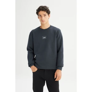 Regular Fit Normal Kesim Bisiklet Yaka Içi Polarlı Antrasit Sweatshirt