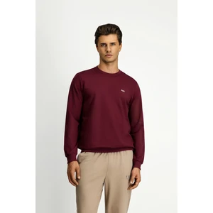 Bisiklet Yaka Regular Fit Nakışlı Pamuklu Sweatshirt