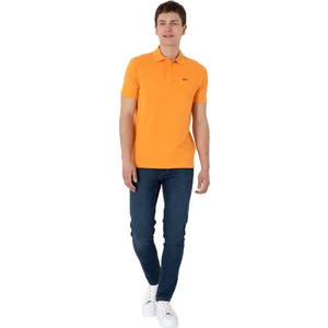Erkek Regular Fit Polo Yaka Basic T-Shirt