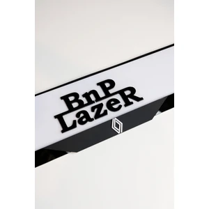 Renault Mat Seri Pleksi Plakalık