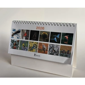 Keskin 2026-MTK-824 Karton Üçgen Masa Takvim