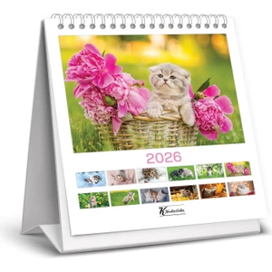 Keskin 2026-KARE Masa Takvimi - Kediler