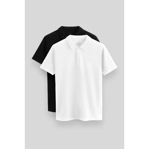 Standart Fit Basic Polo Yaka 2li Paket Siyah-Beyaz Erkek T-Shirt - 87768