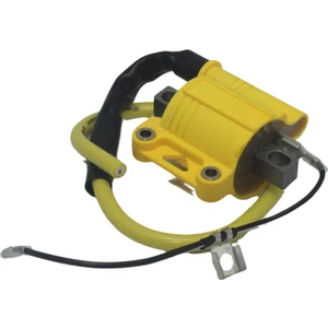 Sanctuary Vault Yarış Motosiklet Ateşleme Bobini 4t Motor Dirt Street Bike NC250 Off-Road Universal Dört Ince Ateşleme (Yurt Dışından)