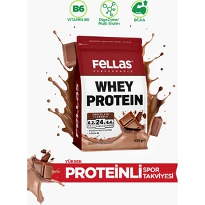 Whey Protein Tozu Çikolata Aromalı 525g