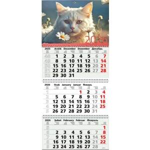 2026 Bristol Gemici Takvimi 33X78 36 Sayfa 805-BRS