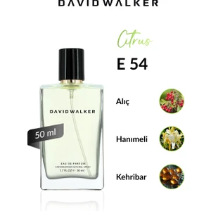 David Walker E54 Nonses 50 ml Erkek Parfüm | Citrus
