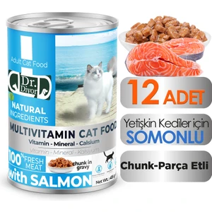 Dr. Diyor Somonlu Yetişkin Kedi 12 Adet