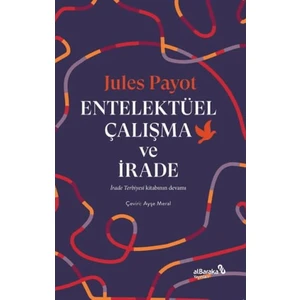 Entelektüel Çalışma ve Irade