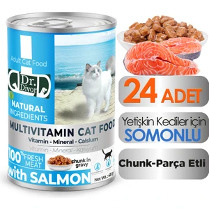 Dr. Diyor Somonlu Yetişkin Kedi Maması 24 Adet