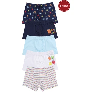 Erkek Çocuk Pamuklu 5'li Baskılı Boxer