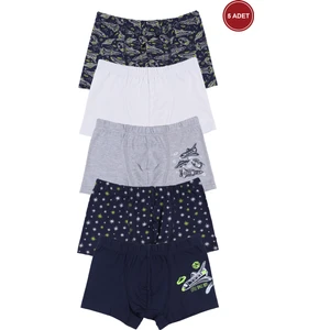 Erkek Çocuk Pamuklu 5'li Baskılı Boxer