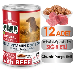 Dr. Diyor Yetişkin Köpek Sığır Etli 12 Adet