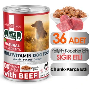 Dr. Diyor Sığır Etli Yetişkin Köpek Maması 36 Adet