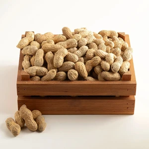 Kavrulmuş Kabuklu Osmaniye Yer Fıstığı 500 Gram