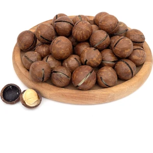 Kabuklu Kavrulmuş Makademya Fındığı 250 Gram